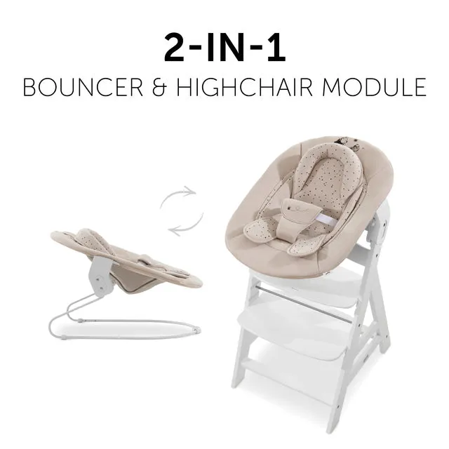 Disney Alpha Bouncer 2 in 1 - Winnie the Pooh Beige